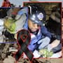 Muere Panchito, el loro que estuvo bajo los escombros en Venezuela y fue rescatado con vida nueve días luego que lo localizaran los bomberos