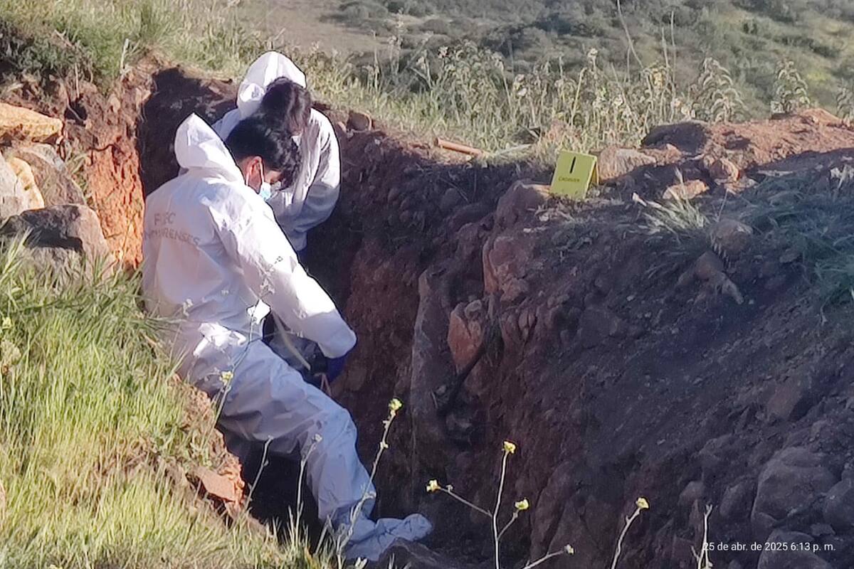 Aprender a vivir sin sus seres queridos que encontraron muertos es el reto de las familias buscadoras