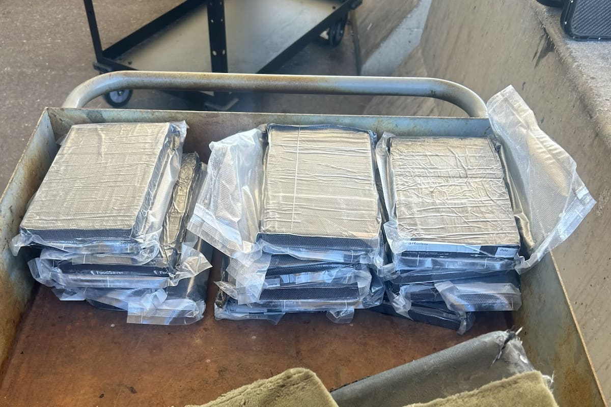 Patrulla Fronteriza asegura 13 kilos de fentanilo en punto de revisión migratorio