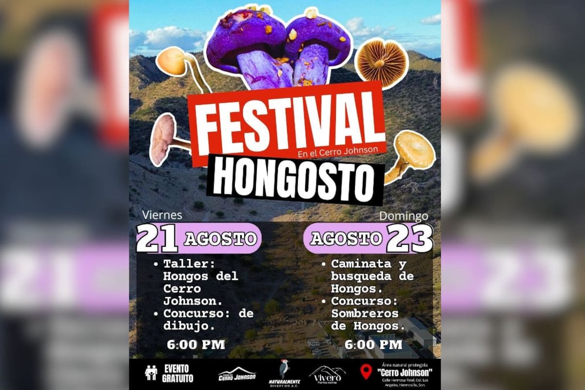 Asociaciones ambientalistas invitan al Festival Hongosto en el Cerro Johnson para promover la conservación