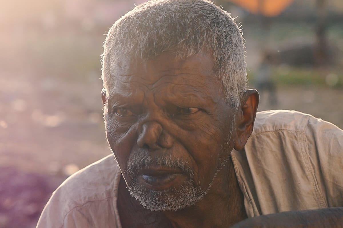 En qué países sigue habiendo lepra (y por qué no se ha logrado erradicar)