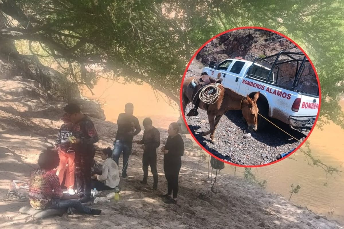 Ubican a grupo de personas que quedaron incomunicadas en la sierra de Álamos