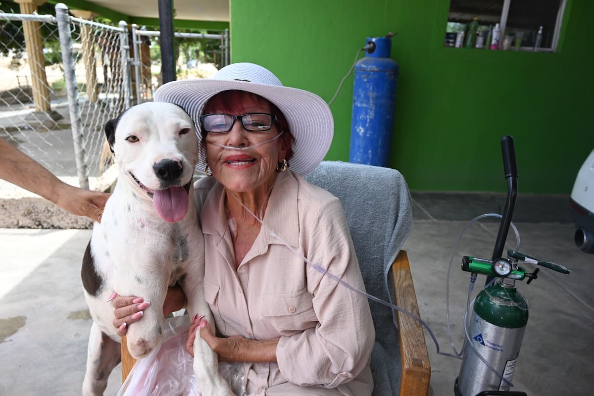 “Mis perros son mi motor de vida”: Martha Patricia lucha por sostener su albergue con 90 perros pese a su enfermedad