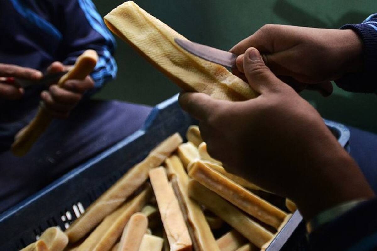 El secreto del Chhurpi, el queso más duro del mundo que podrías comer hasta 20 años después de elaborado