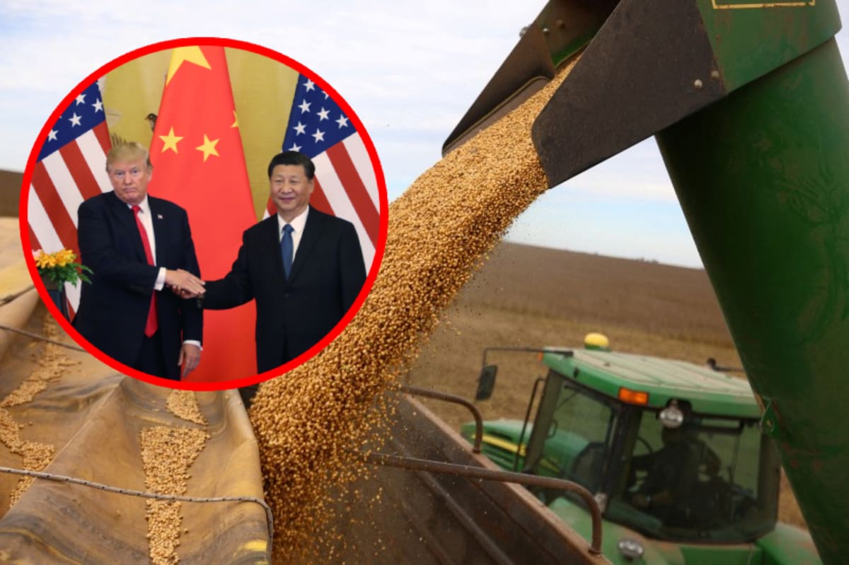 La guerra comercial entre China y Estados Unidos ha llevado a China a diversificar sus fuentes de importación de soja, recurrir más a Brasil y reducir sus compras de productos agrícolas estadounidenses.