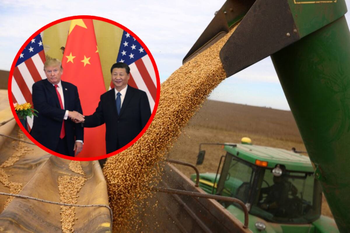 China le está dando un duro golpe a los agricultores de EEUU por los aranceles de Trump y Brasil ha salido ganando