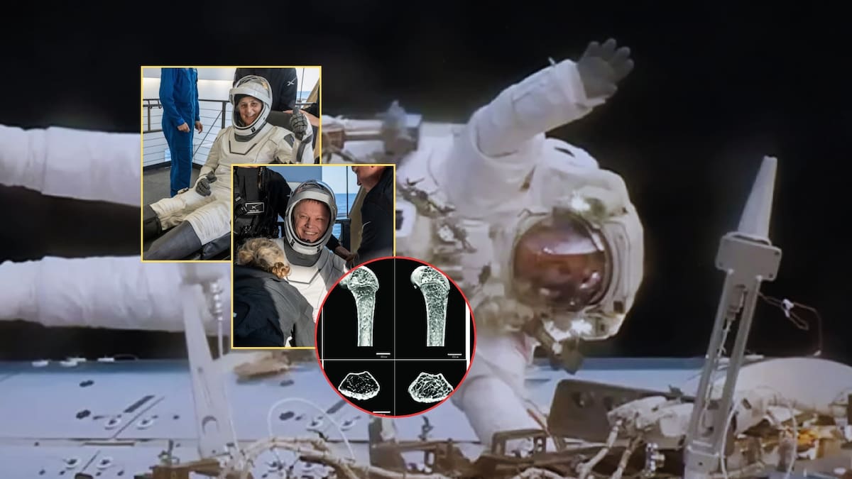 Los notorios cambios físicos de los astronautas de la NASA tras 9 meses en el espacio: ¿Qué les pasa a sus cuerpos luego de tanto tiempo fuera de la Tierra?