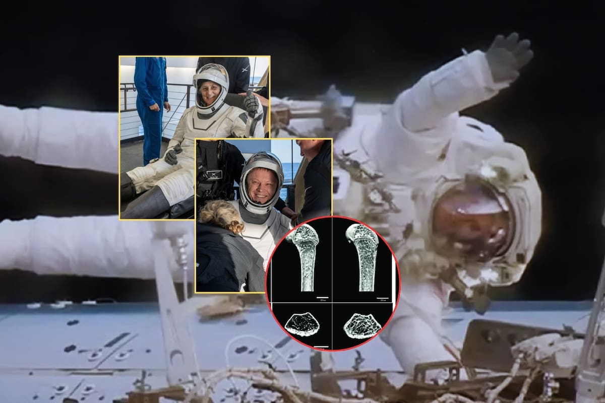 Los notorios cambios físicos de los astronautas de la NASA tras 9 meses en el espacio: ¿Qué les pasa a sus cuerpos luego de tanto tiempo fuera de la Tierra?