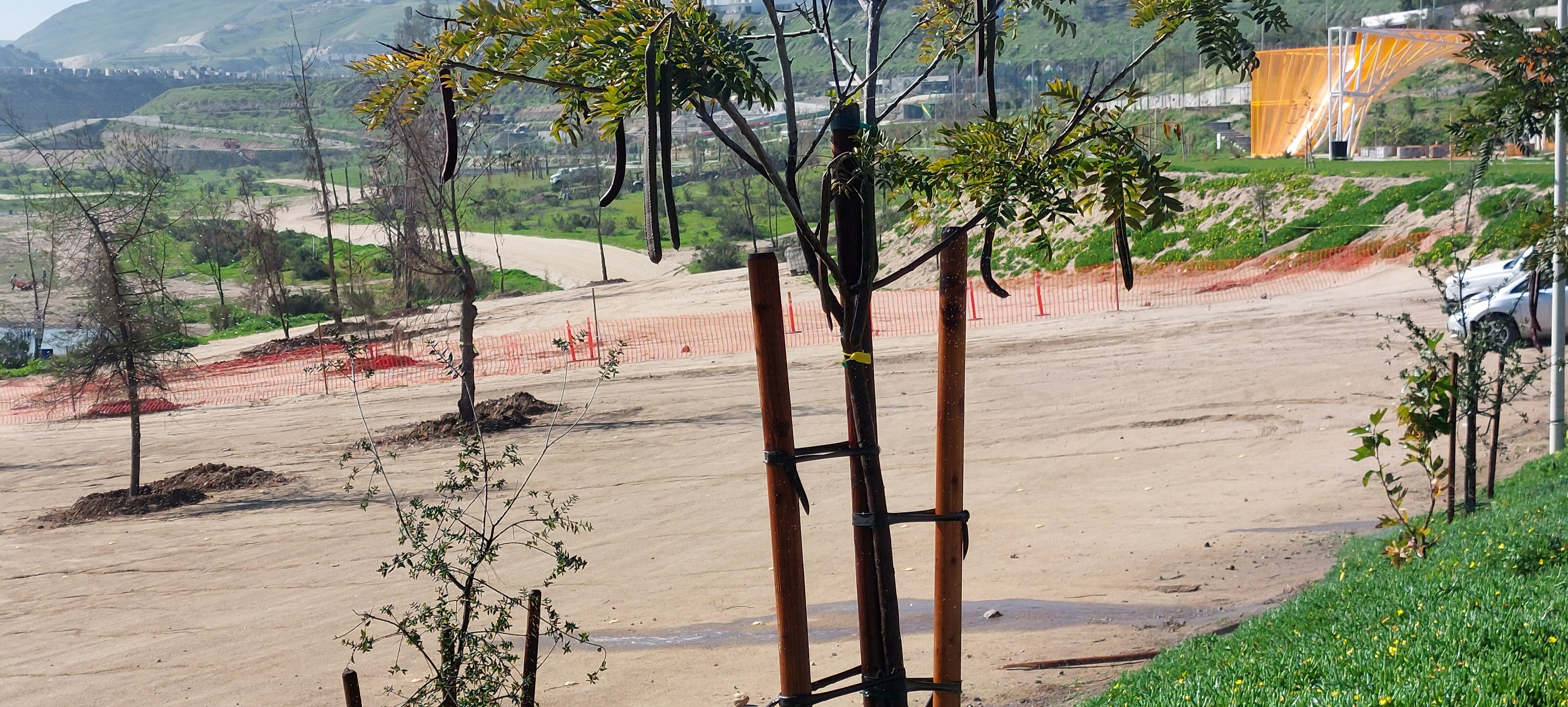 Luego de permanecer cerrado por la mortandad de peces registrada en la presa Abelardo L. Rodríguez, el Parque Esperanto reabrió este miércoles sus puertas al público, aunque el perímetro de la presa continúa acordonado. Foto: Michelle Castillo