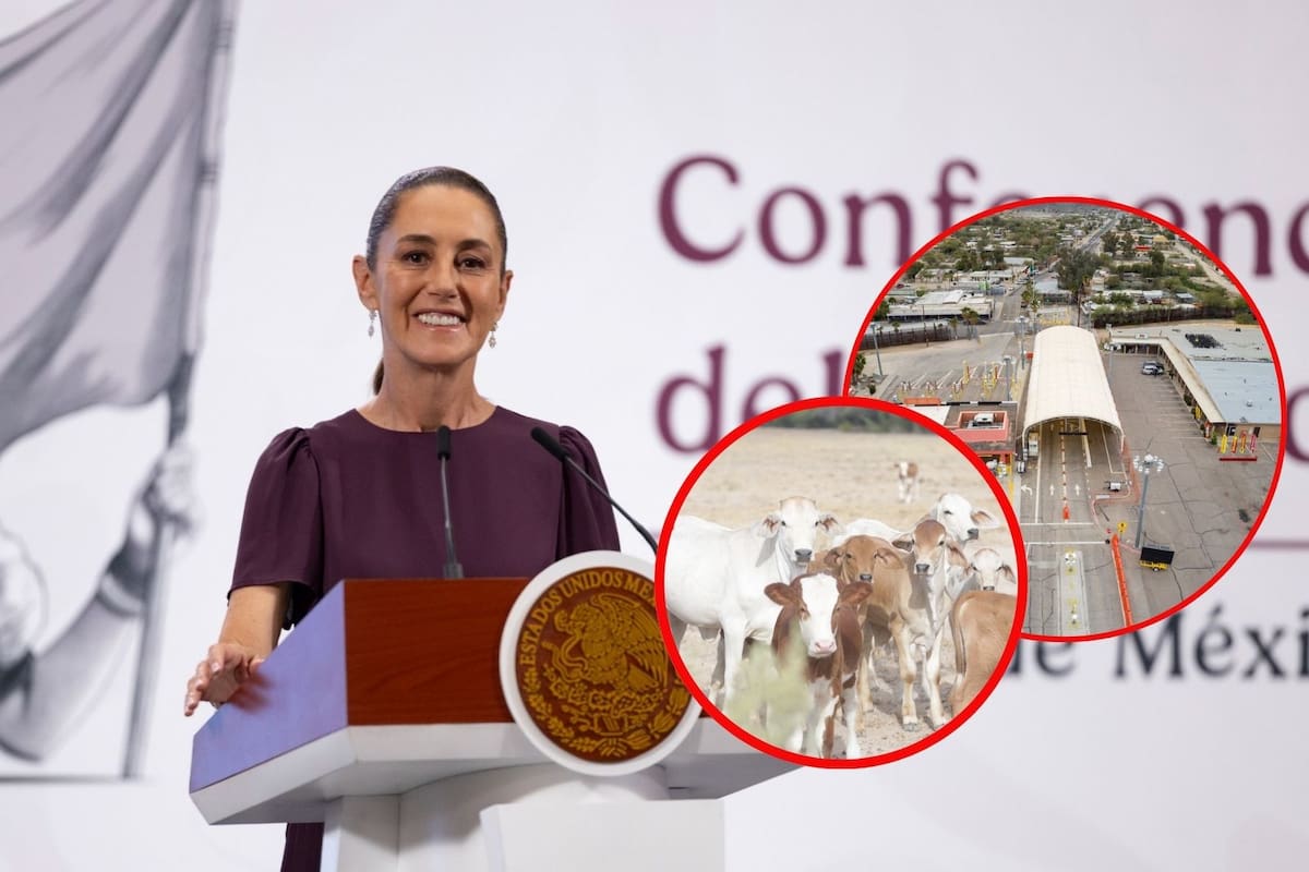 Sheinbaum anuncia inversión de 700 millones de pesos en Durango para centro de corte de carne de alta calidad
