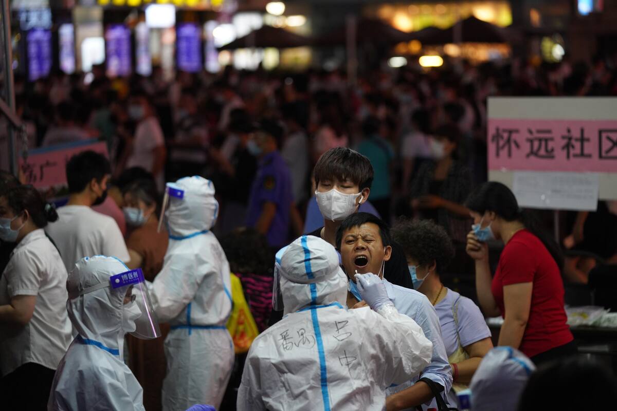 Henipavirus: Cuáles son los síntomas del nuevo virus reportado en China