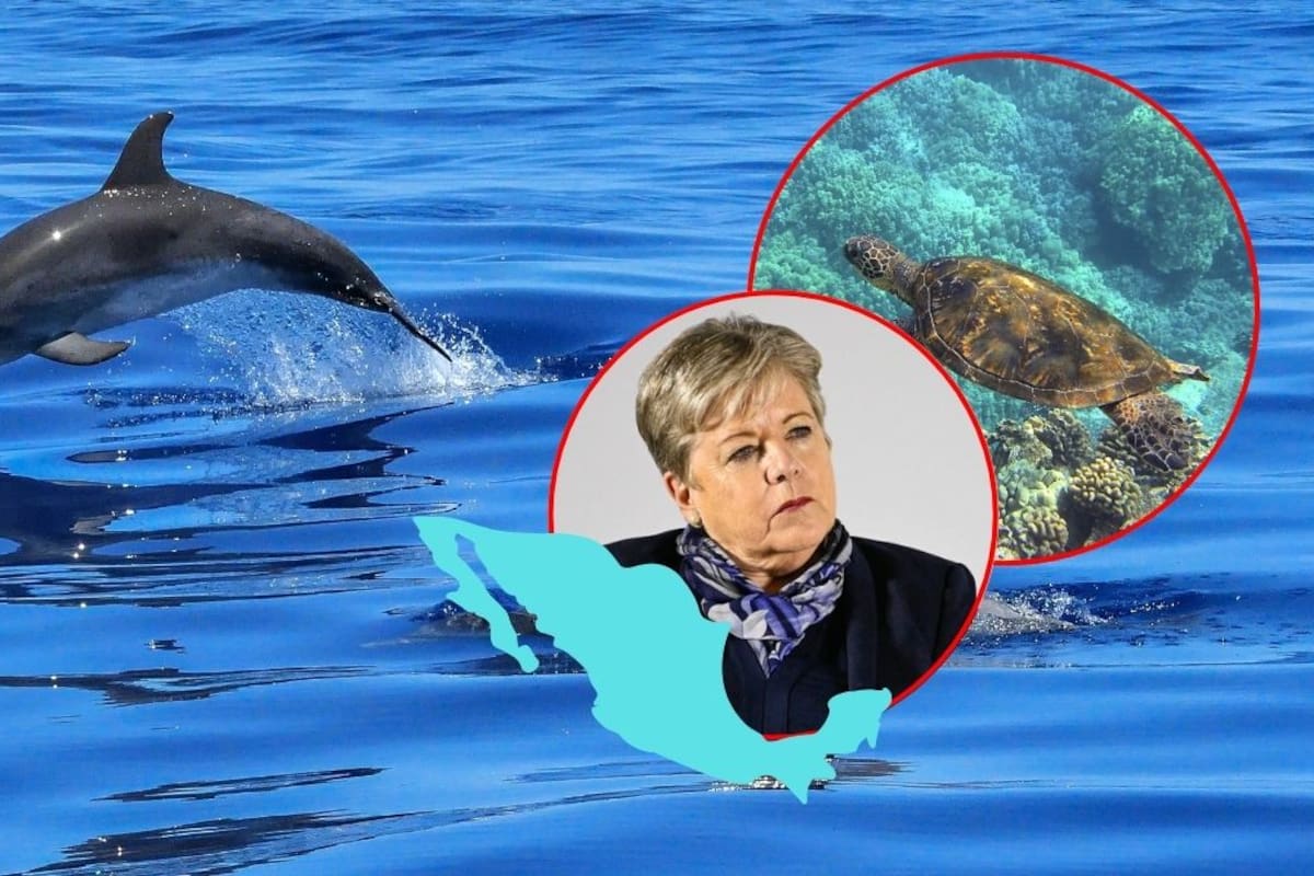 México propone restaurar más de 125 mil hectáreas de ecosistemas marinos y costeros en Conferencia de la ONU sobre los Océanos