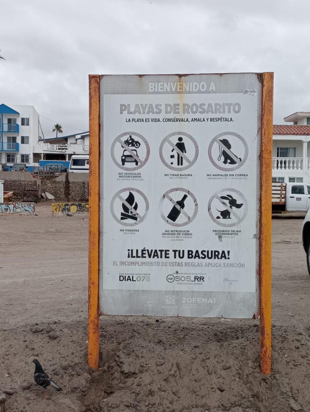 Foto: Carmen Gutiérrez