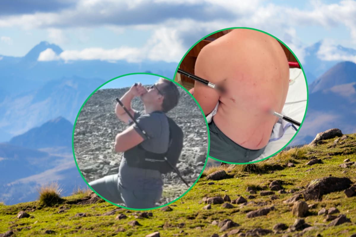 Después de ser atravesado por su bastón de senderismo durante una caída en la montaña más alta de Montana, un joven caminó 16 kilómetros con el objeto aún clavado para ponerse a salvo