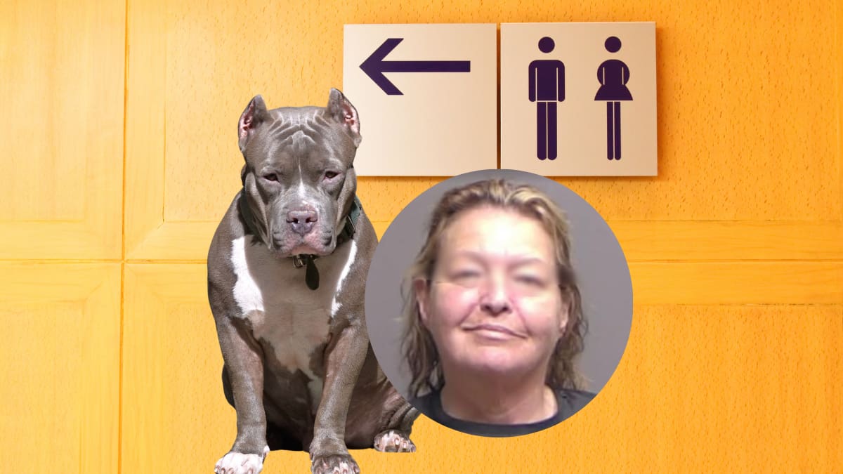Abuela de 64 años y su nieta de 13 fueron arrestadas por amenazar de muerte y atacar con un pitbull a cinco niños en Florida; los menores se escondieron en un baño público para protegerse