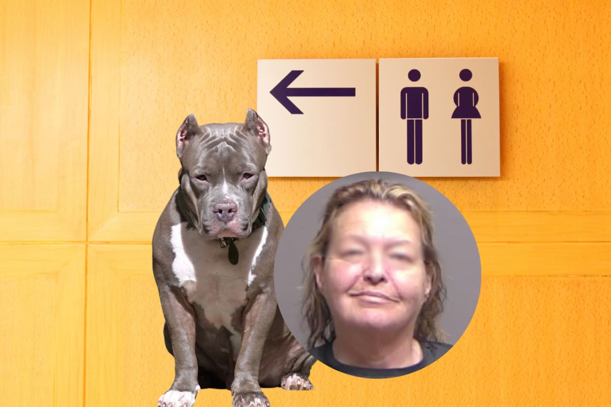 Abuela de 64 años y su nieta de 13 fueron arrestadas por amenazar de muerte y atacar con un pitbull a cinco niños en Florida; los menores se escondieron en un baño público para protegerse