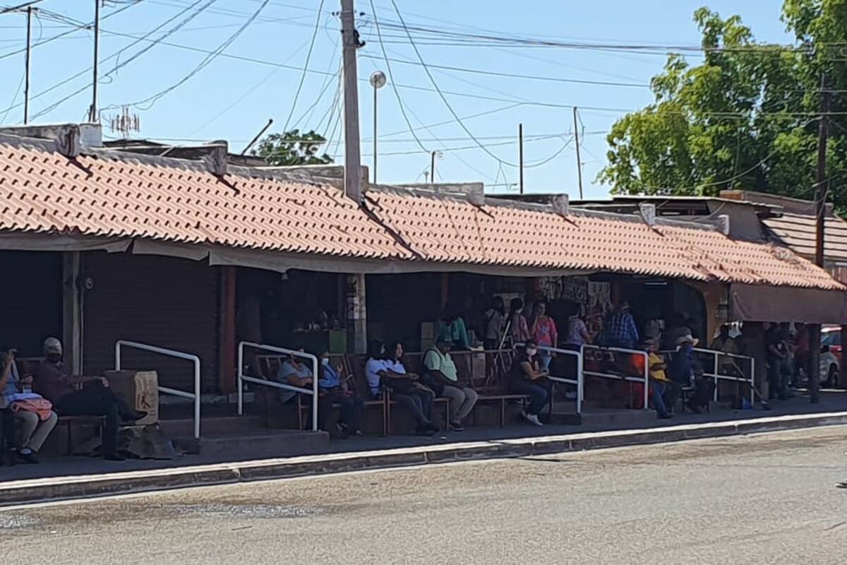 Avanzan empresas navojoenses a la recuperación total