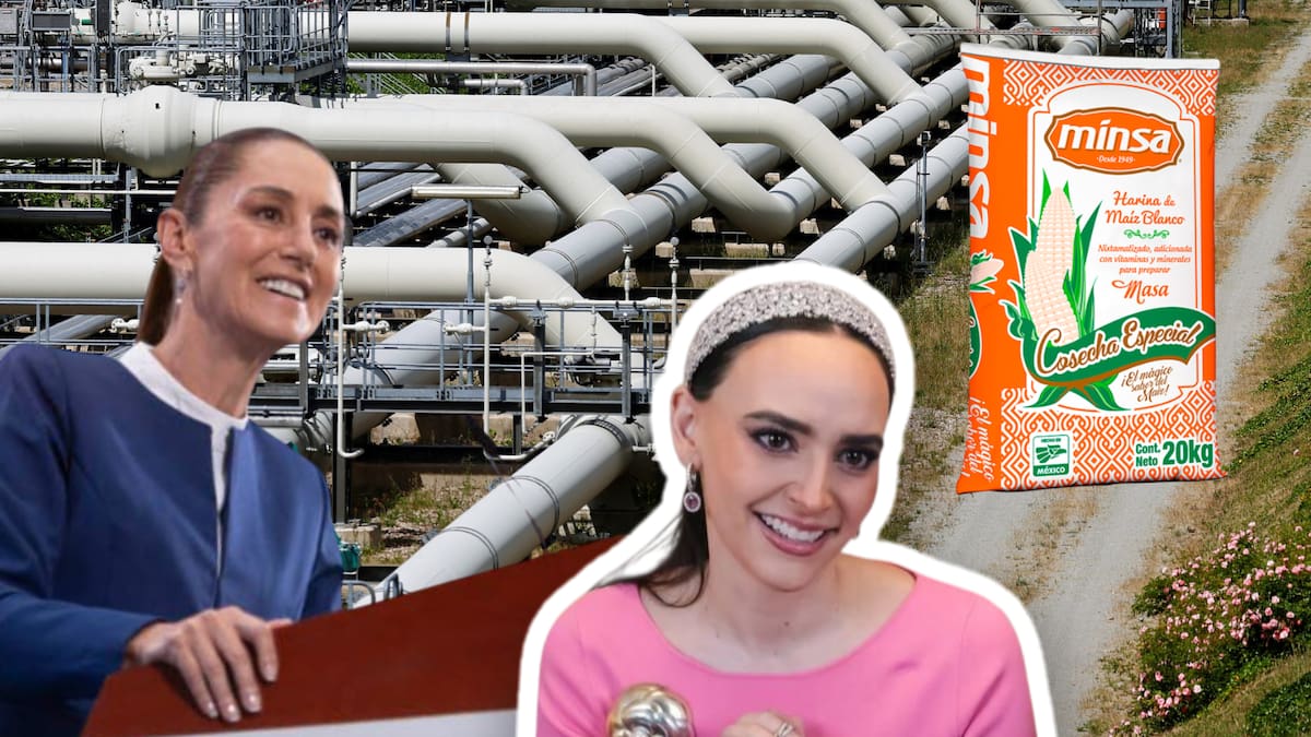 Aunque en el sexenio de AMLO no se autorizó ningún proyecto de autoconsumo eléctrico, el gobierno de Sheinbaum autorizó a Minsa, empresa de Altagracia Gómez, construir plantas de cogeneración a gas natural en cuatro estados del país