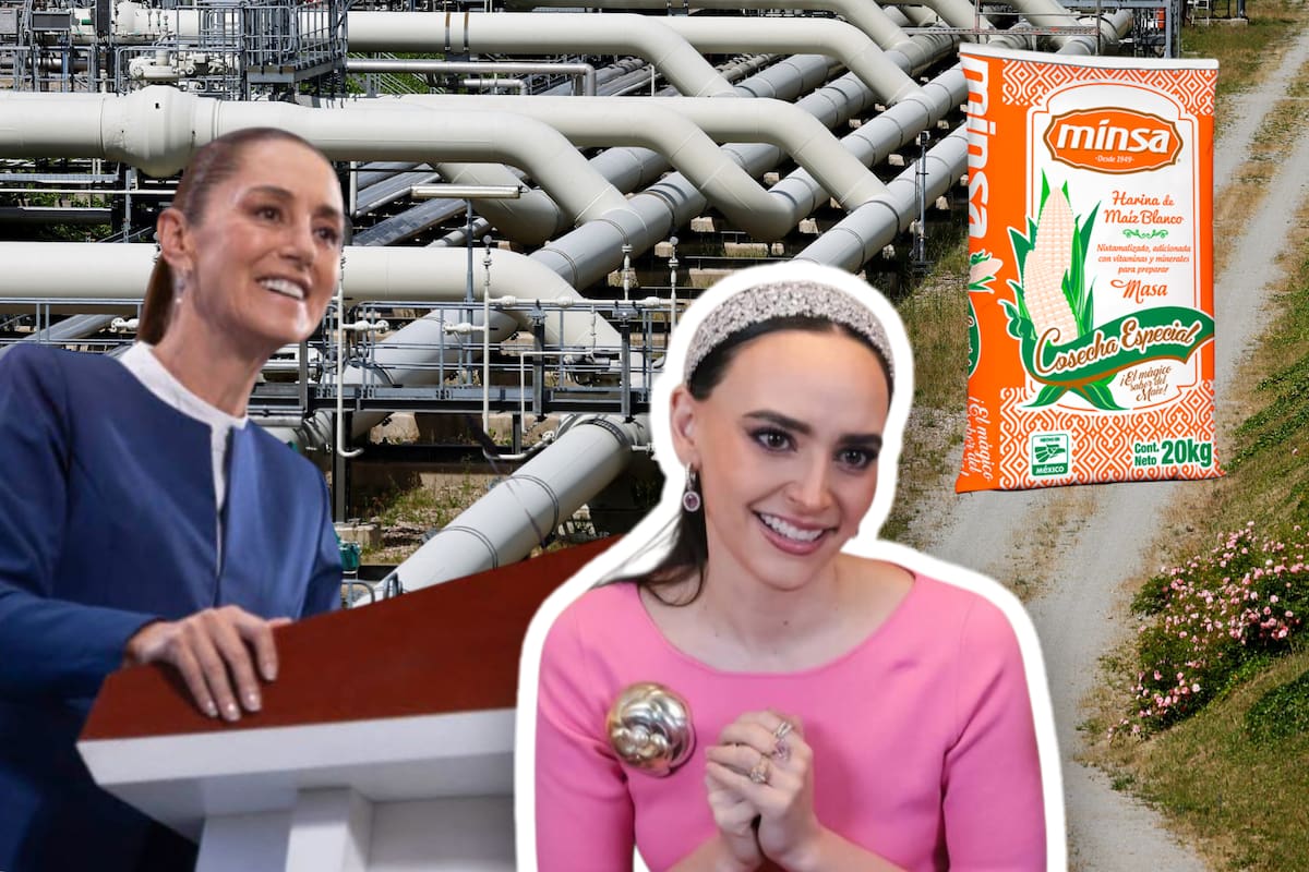 Aunque en el sexenio de AMLO no se autorizó ningún proyecto de autoconsumo eléctrico, el gobierno de Sheinbaum autorizó a Minsa, empresa de Altagracia Gómez, construir plantas de cogeneración a gas natural en cuatro estados del país