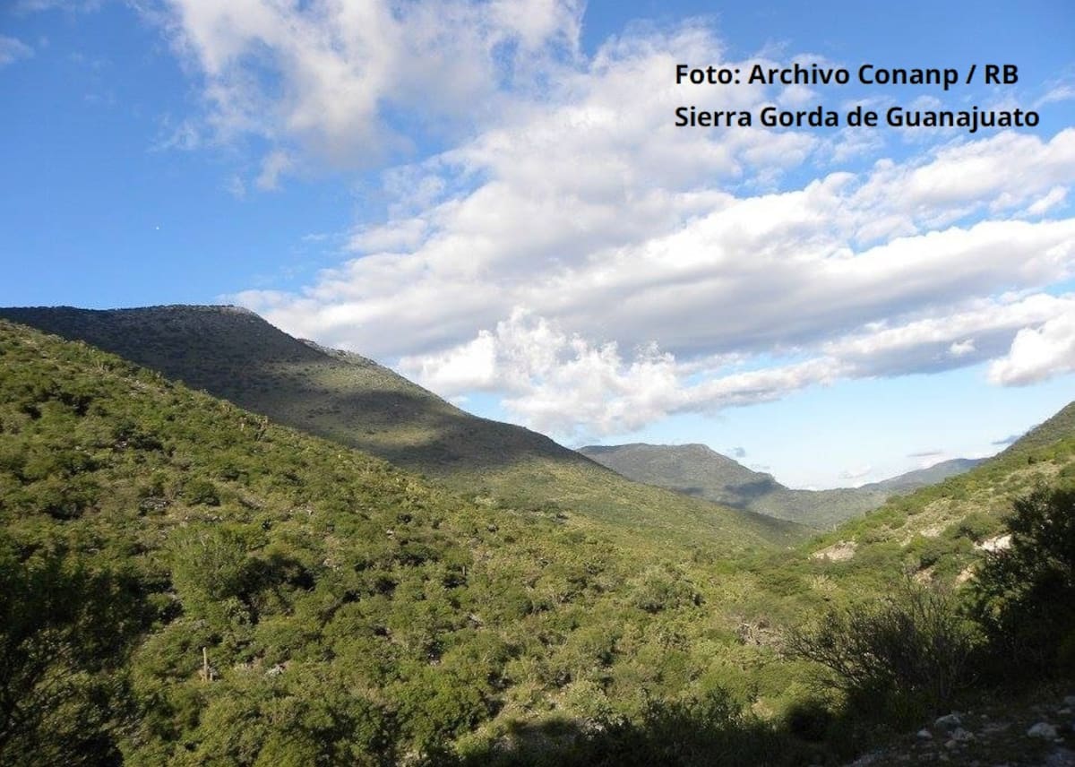 Sierra Gorda de Guanajuato. | Crédito: Conanp