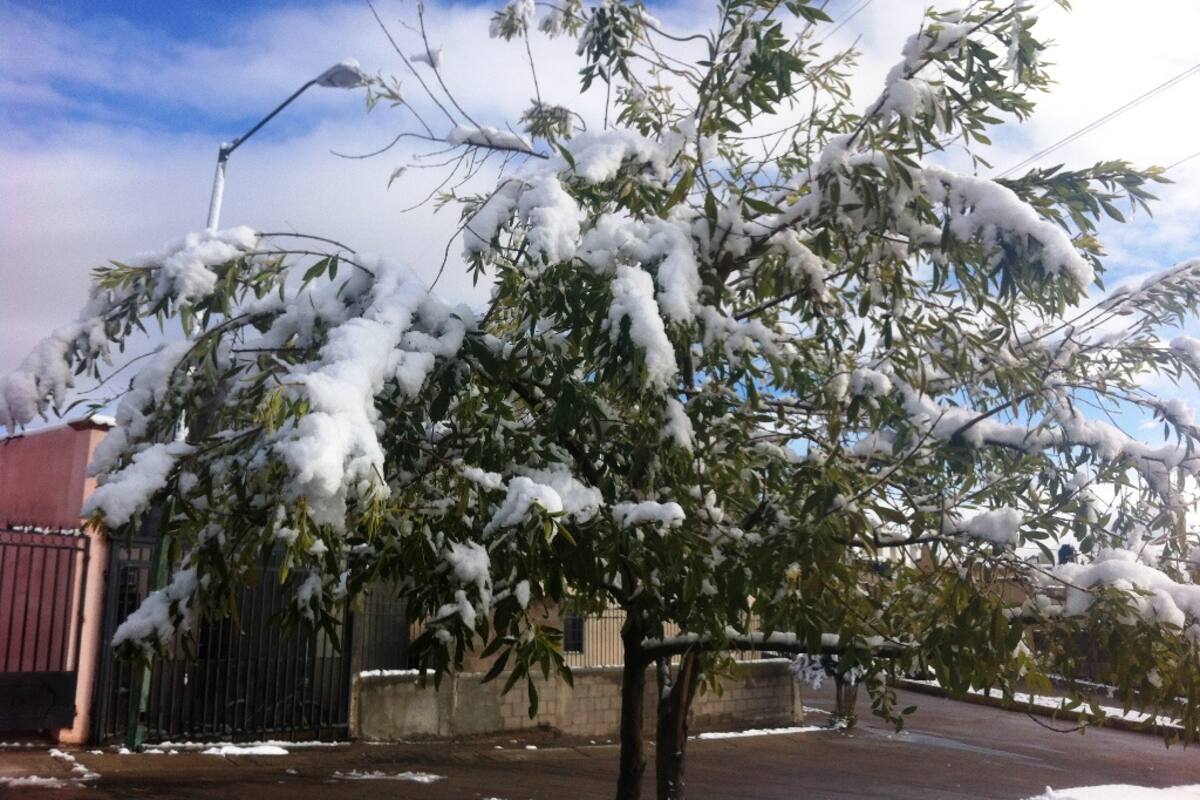 Clima hoy: Continuará el ambiente muy frío con posible lluvia engelante o aguanieve