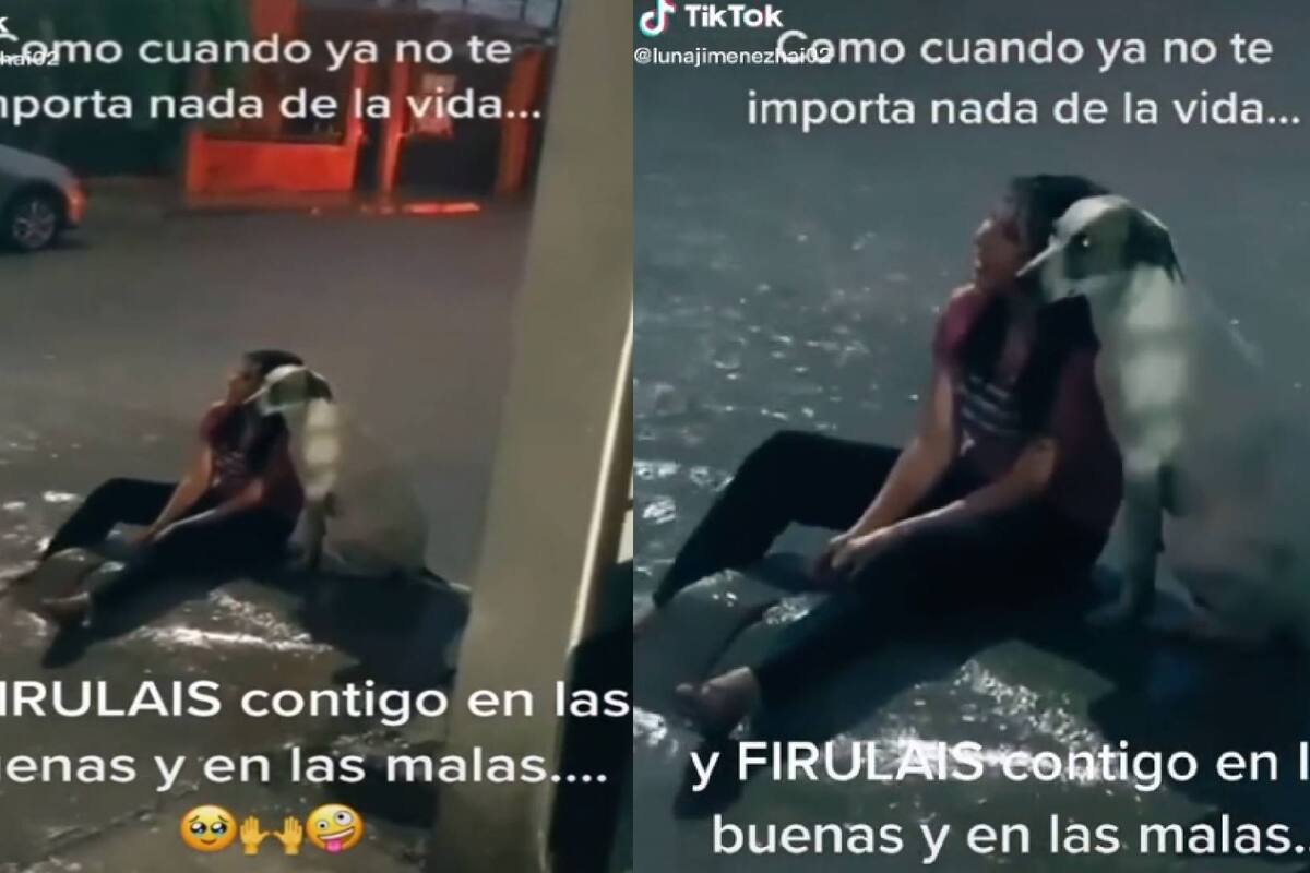 TIKTOK: “Seré el perro bajo la lluvia” Perrito acompaña a mujer triste mientras cae la tormenta