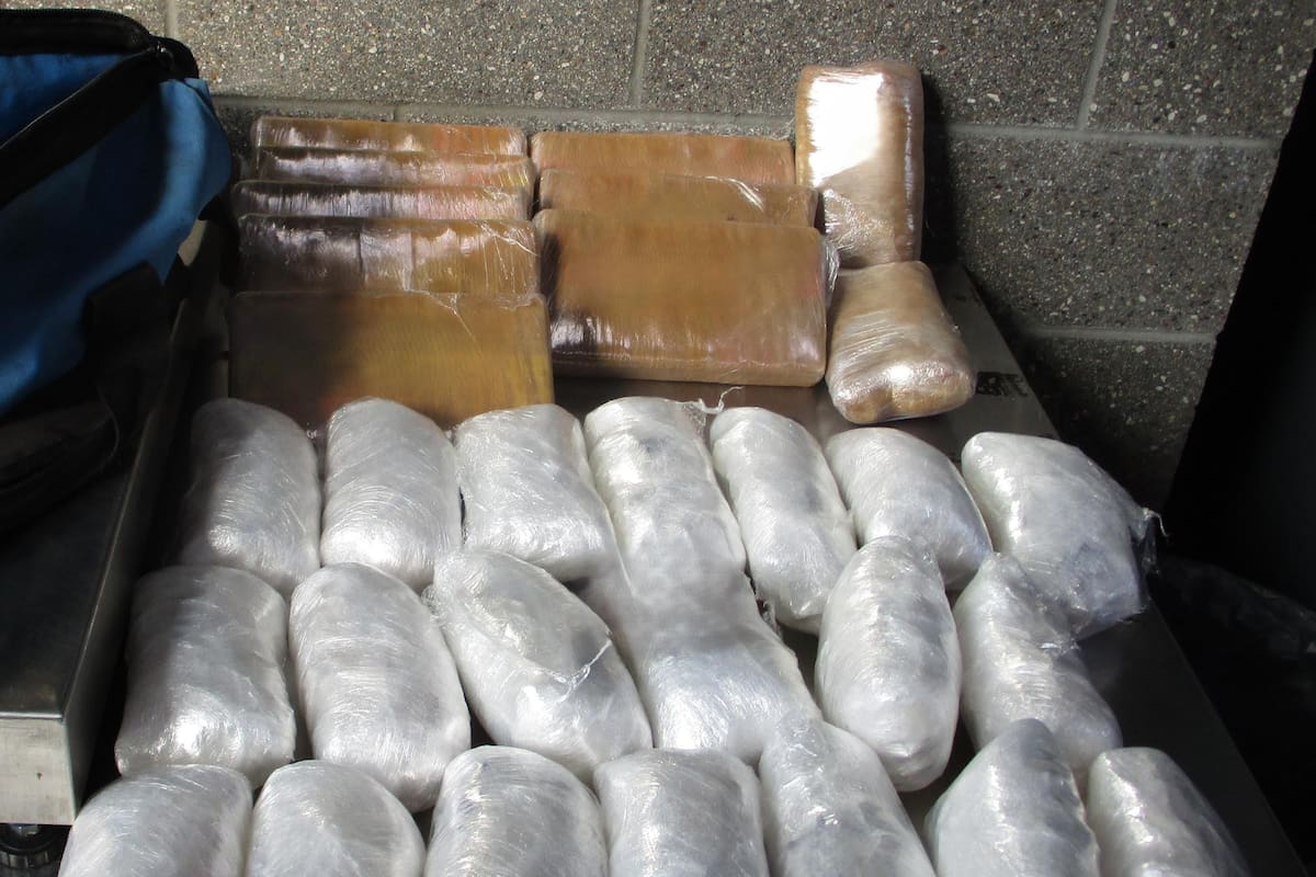 Decomisan 14 millones de dólares en drogas en garitas de San Diego