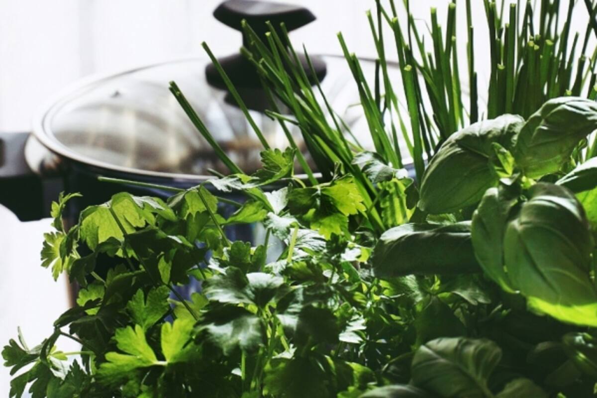 Alimentos que puedes cultivar en casa