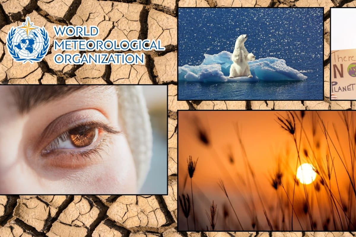 La OMM alerta que 2025 dejó a Latinoamérica bajo calor extremo “sin precedentes”, con sequías de gran alcance, océanos más calientes y un aumento del mar más rápido que el promedio mundial