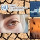 La OMM alerta que 2025 dejó a Latinoamérica bajo calor extremo “sin precedentes”, con sequías de gran alcance, océanos más calientes y un aumento del mar más rápido que el promedio mundial