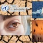 La OMM alerta que 2025 dejó a Latinoamérica bajo calor extremo “sin precedentes”, con sequías de gran alcance, océanos más calientes y un aumento del mar más rápido que el promedio mundial