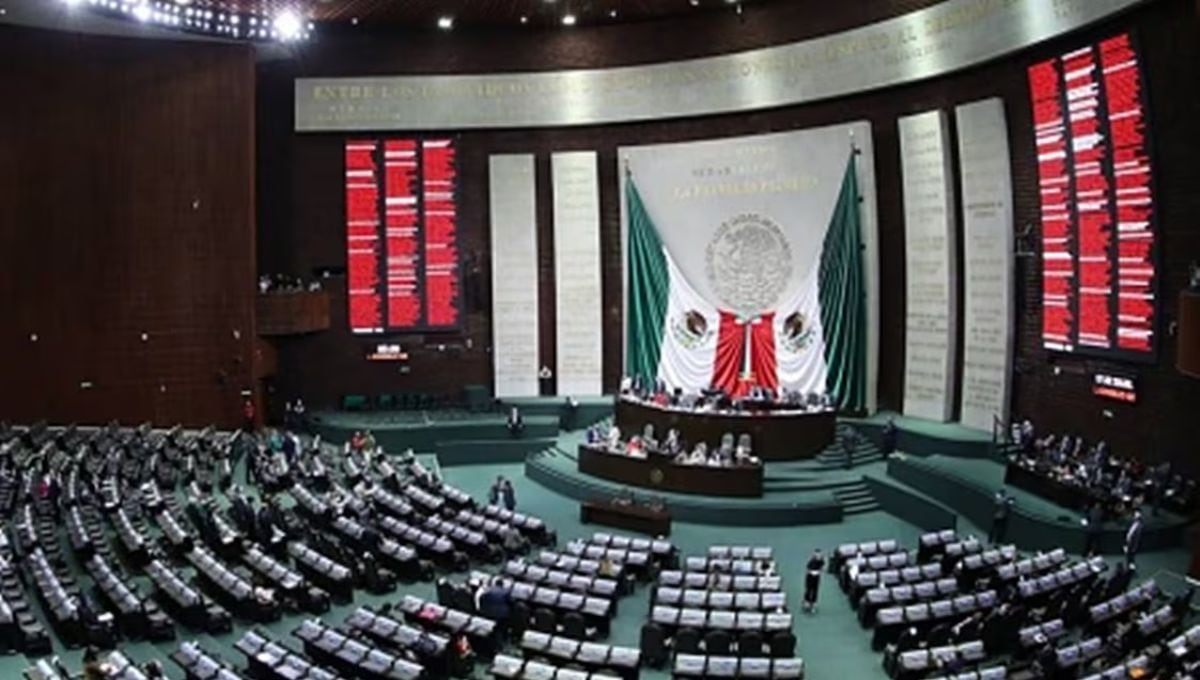 Cámara de diputados