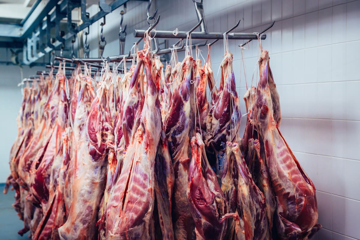 Activan ganaderos nueva ruta ante cierre fronterizo