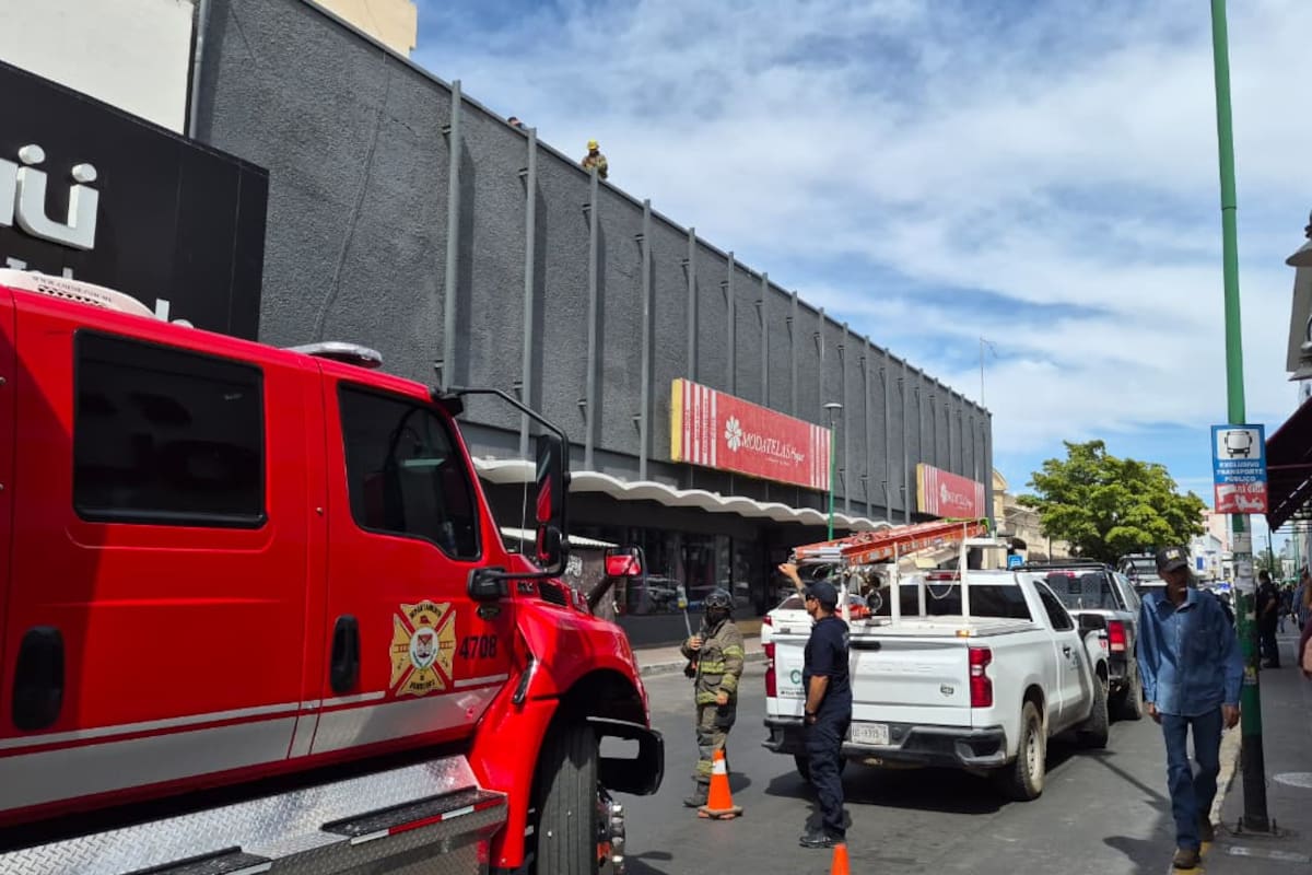 Un ave provoca corto circuito y corta la luz en comercios del centro de Hermosillo