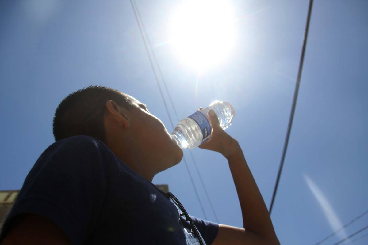 Tomar agua simple es la mejor manera de hidratarse