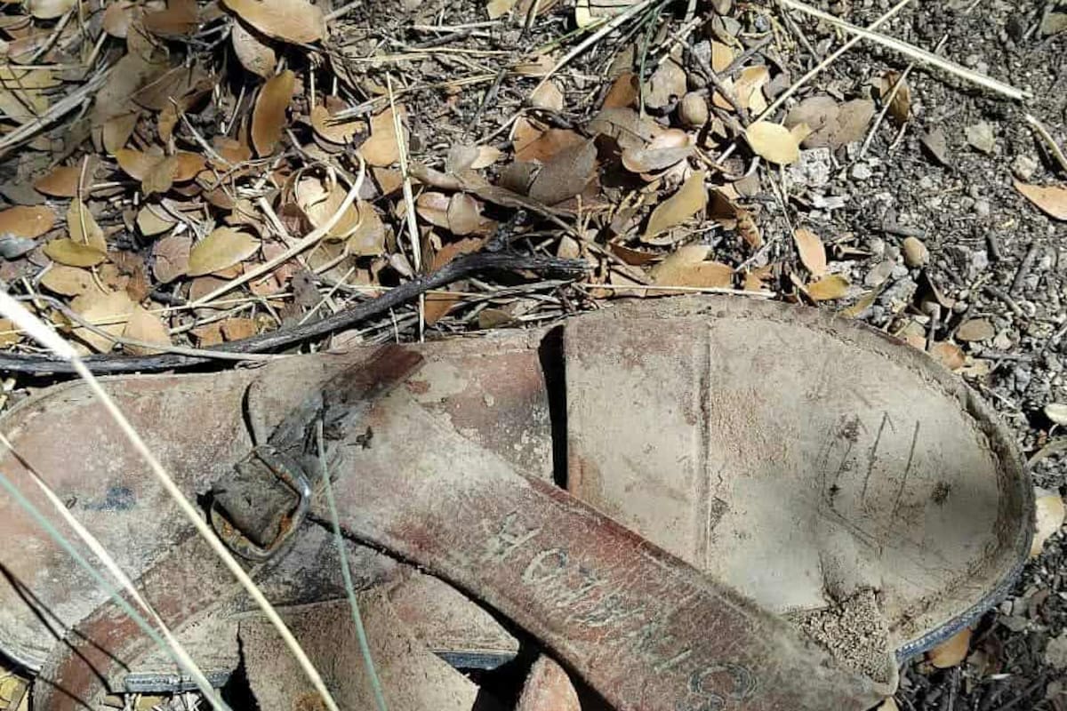 Colectivo encuentra restos oseos de por lo menos seis personas en Pitiquito