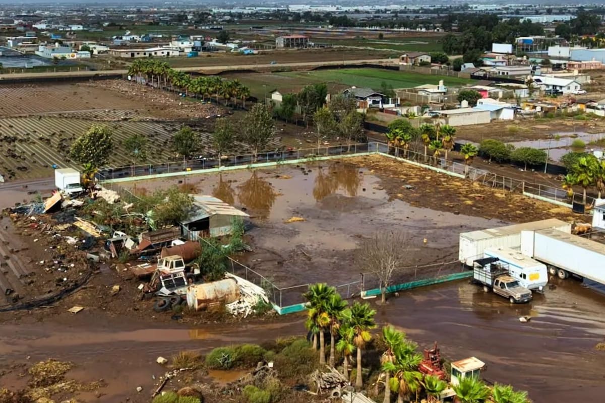 Rachel destruye cosecha de invierno y deja sin cultivos a productor de Maneadero
