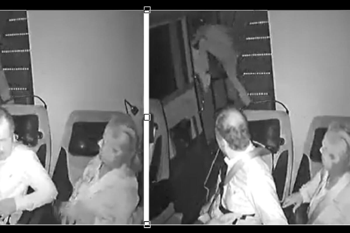 VIDEO: Pasajero aparentemente asustado se lanza desde la ventana de un autobús en movimiento