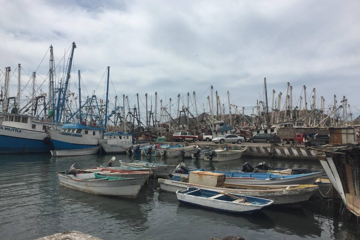 Celebran Día Mundial de la Pesca en tierra
