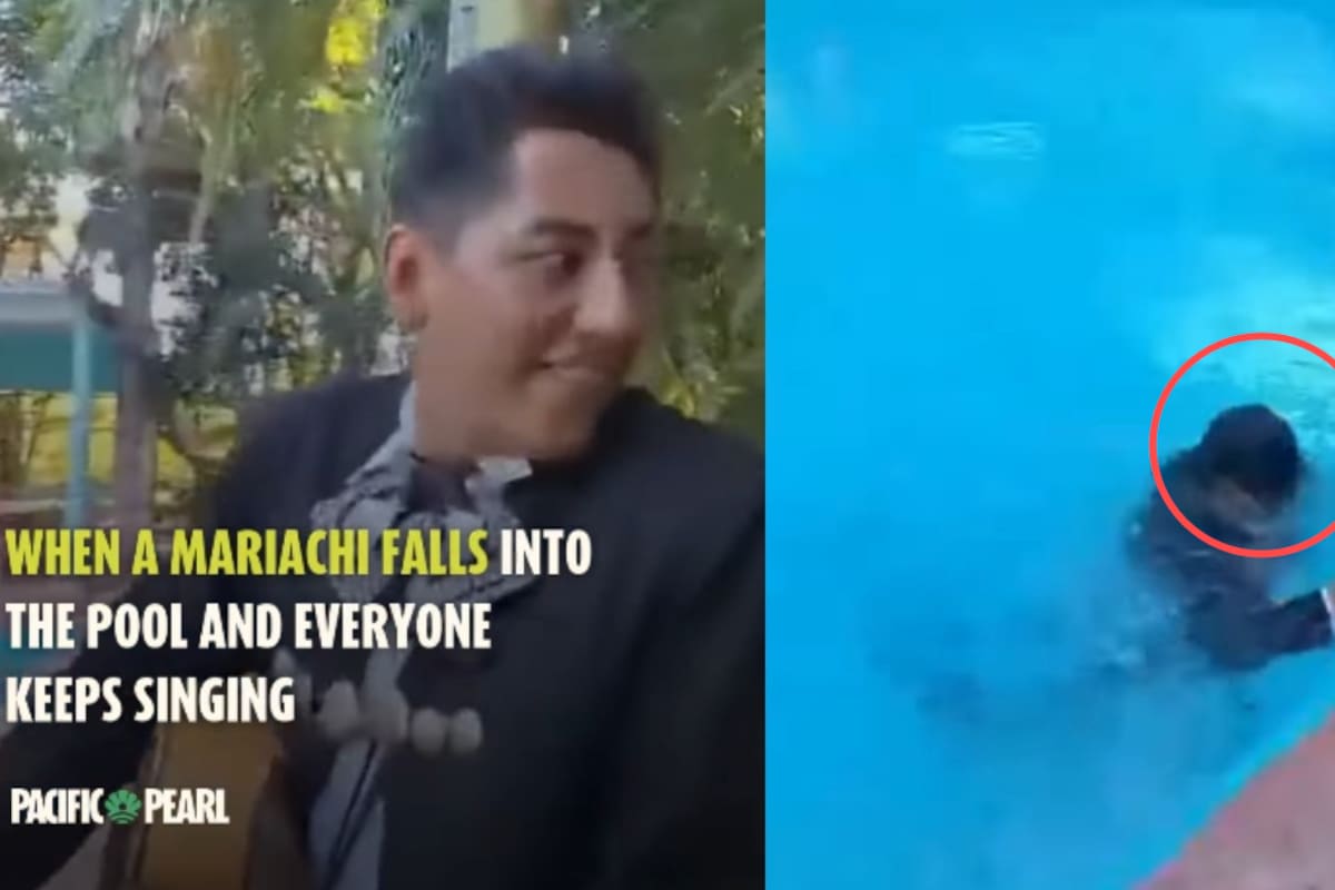 El show no se detuvo: mariachi cae a la piscina y el grupo continúa tocando