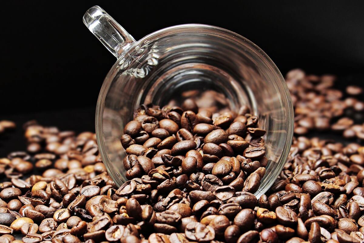 ¿Cuántas tazas de café puedes tomar para mejorar tu productividad?