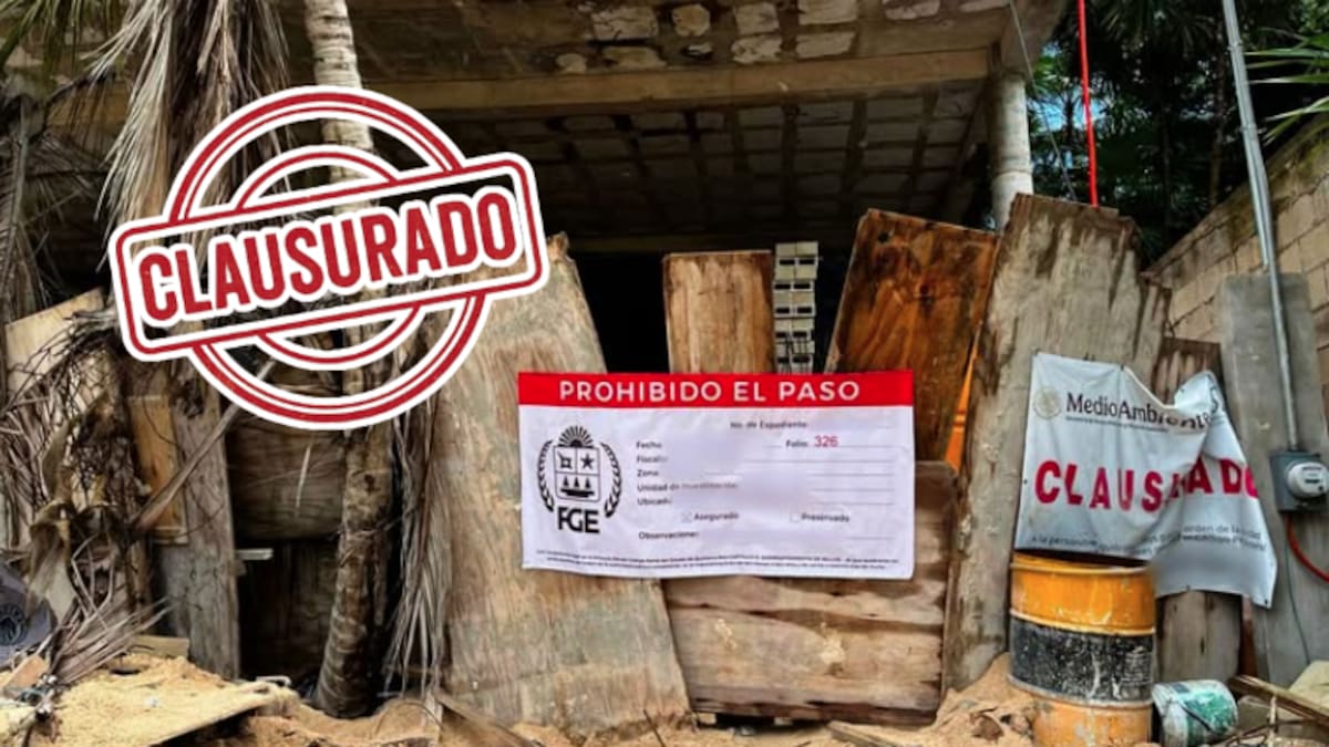 Clausuran lujoso condominio en Tulum por violaciones ambientales graves: autoridades aseguran el predio Adamar tras denuncia oficial