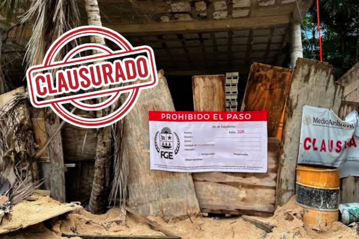 Clausuran lujoso condominio en Tulum por violaciones ambientales graves: autoridades aseguran el predio Adamar tras denuncia oficial