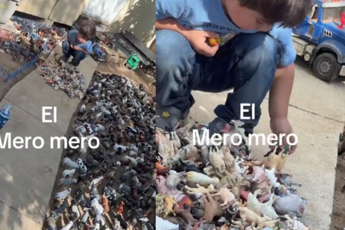 “Todas son figuras de ganado y tiene cientos; lo apodaron el ‘Alameda Slim’” Niño se vuelve viral en TikTok por presumir su peculiar colección de juguetes, sorprendiendo a miles de usuarios