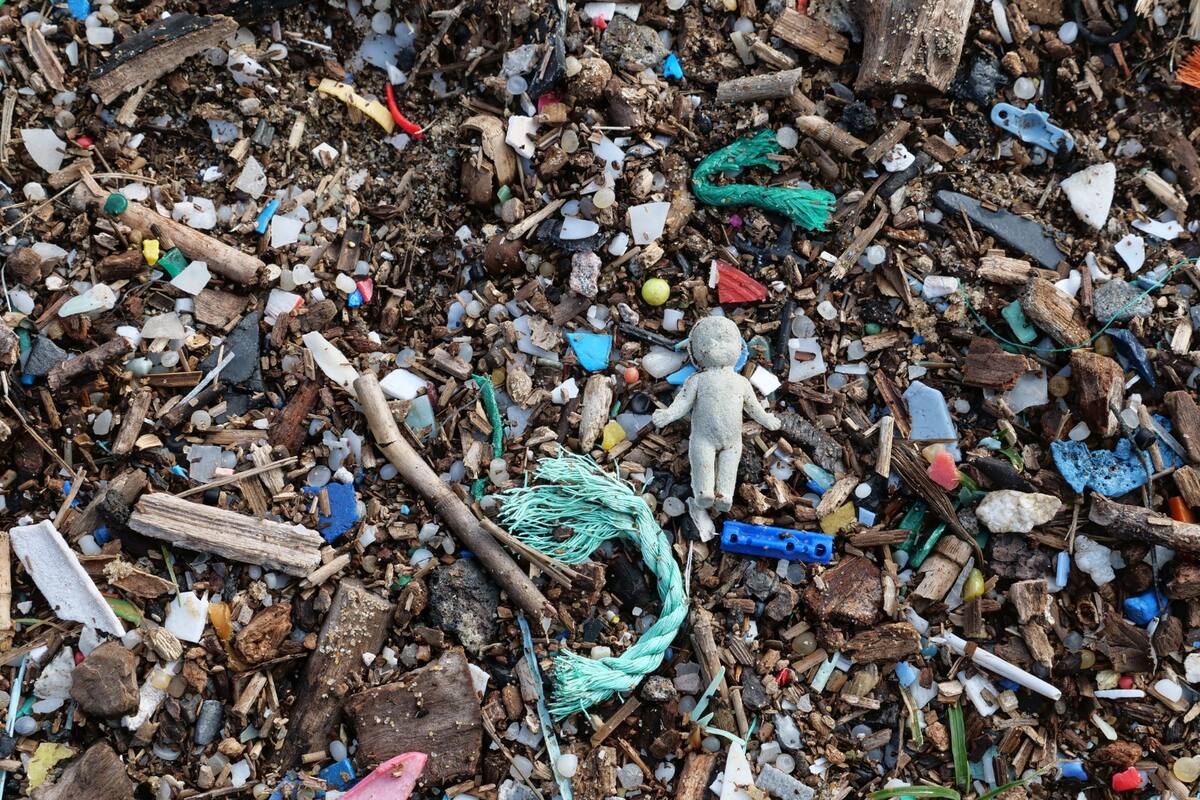 Microplásticos podrían estar afectando de manera directa la salud cerebral de quienes viven en zonas costeras