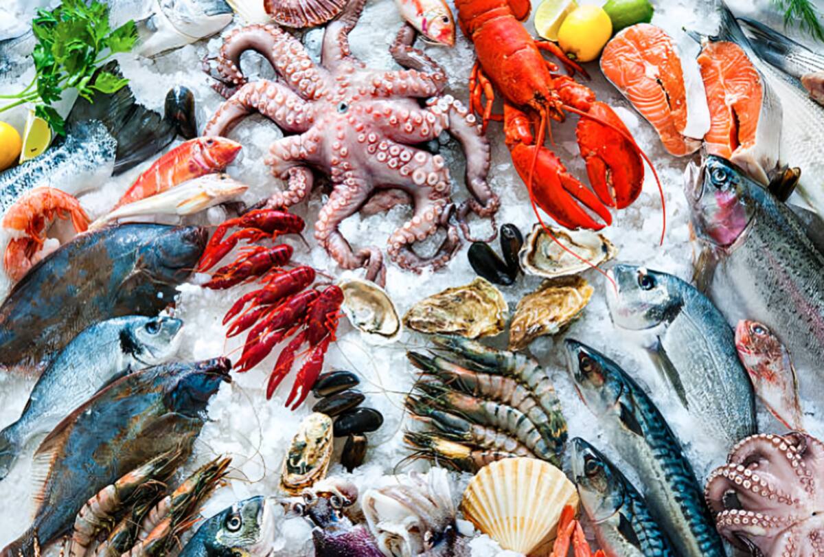 Los pescados y mariscos más saludables y sostenibles | Foto: Especial (iStock)