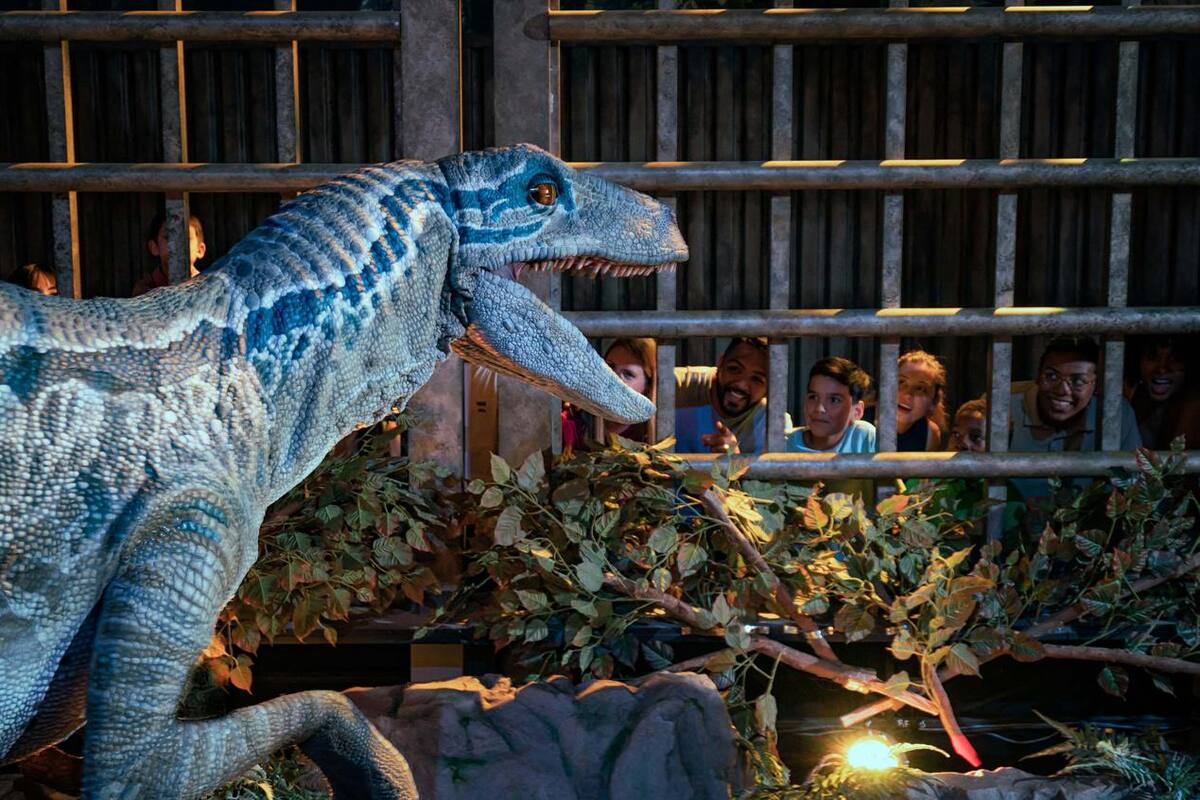 Explora Jurassic World en San Diego