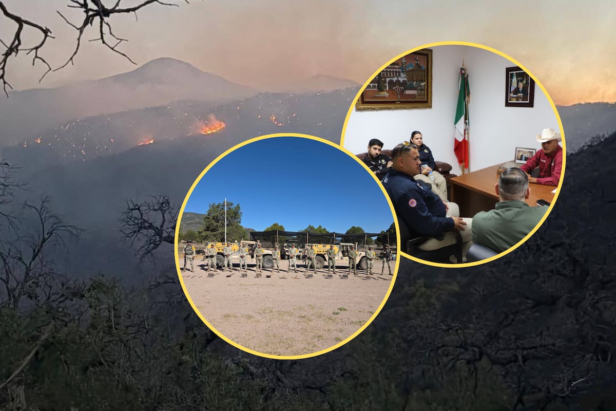 Combaten incendio forestal en Tarachi: 63 brigadistas trabajan para controlar el fuego