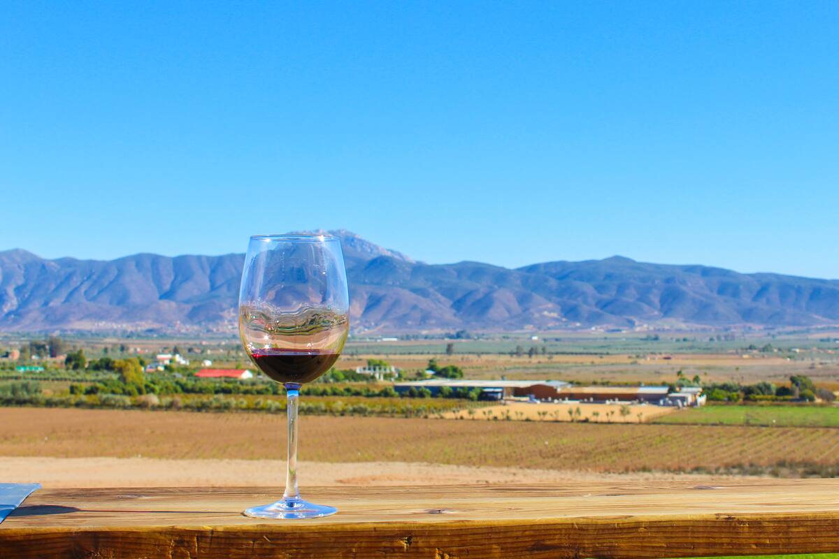 Valle de Guadalupe: paraíso para los amantes del vino
