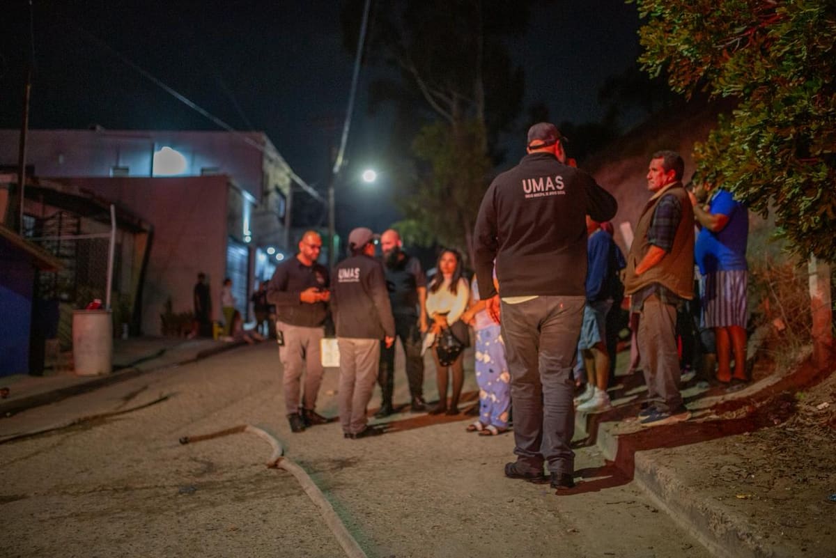 Rescataron conejos que se encontraban dentro del inmueble.